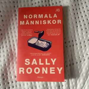 Normala människor - Boken normala männiksor