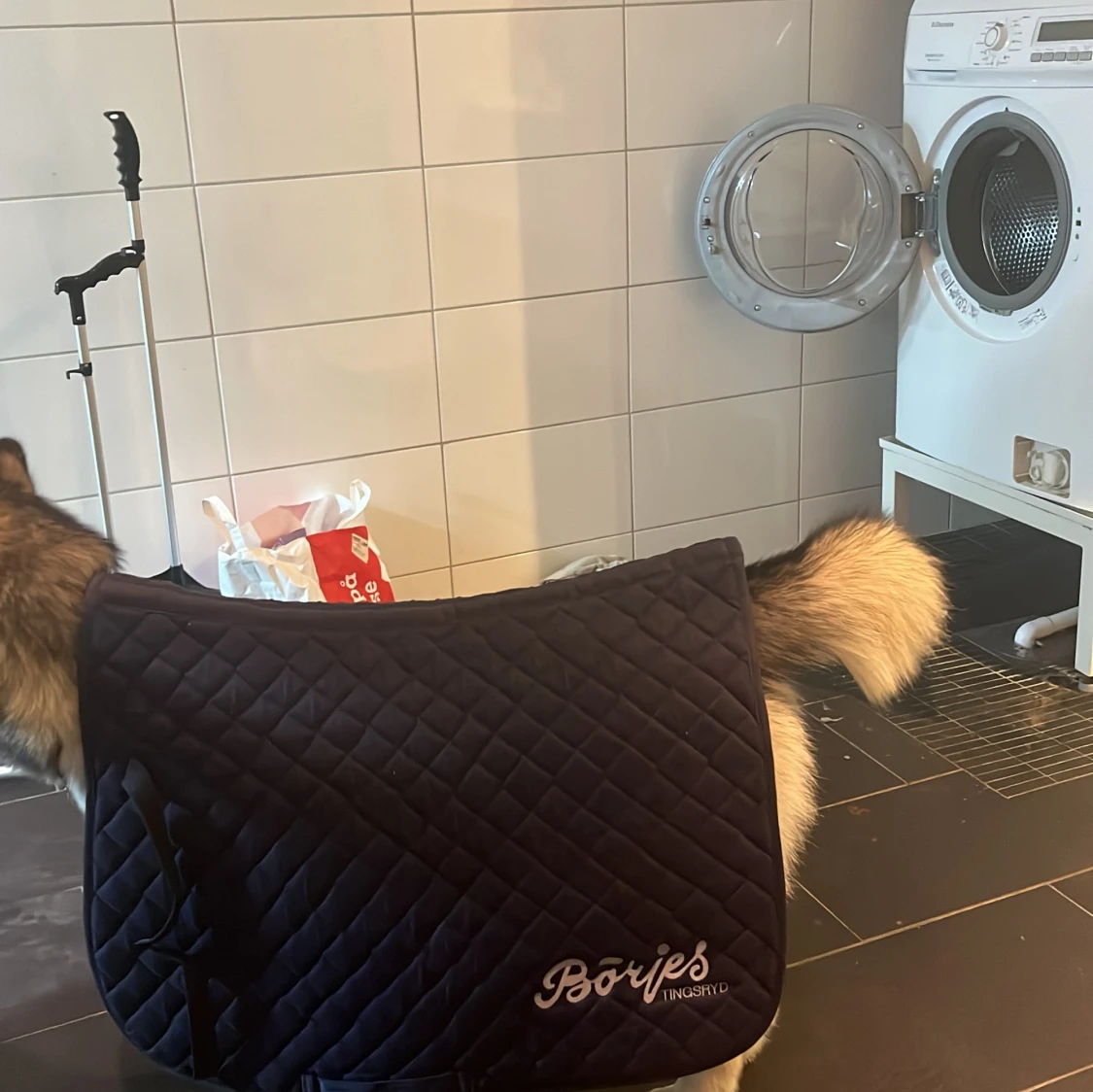 Fint börjes Tingsryd schabrak  - 91