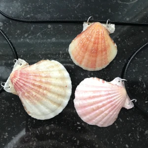 Halsband  - Snäck-halsband av riktiga snäckor. Handgjorda och nya. De har ett skimrande glitterlager på sig och halsbanden är justerbara.☺️💍🐚kontakta gärna vid frågor och innan köp☺️kolla profil🌺💍🌸🐚120 st🐚För fler snäck-halsband kolla andra annonser🌸💍🐚