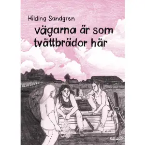 AIDA, MARRE och Tess har just slutat högstadiet i den lilla staden i Småland. De är sexton år och tvingas hantera nya saker, olika saker, var och en för sig och tillsammans. Trion är bästa vänner och på sätt och vis varandras familj. De går på fester, hjälper en äldre person med hästarna och pratar med varandra om det mesta. Men när de alla tre går igenom olika och stundvis svåra känslomässiga processer samtidigt så prövas deras vänskap. Det här är en flickig värld med a-traktorer, grusvägar och landsvägar, nära relationer, övergrepp och reaktioner. Det handlar om skörhet och uppbackning, rädsla och mod, att sakna redskap men försöka skaffa det, och om att behöva välja mellan den lilla och den stora gruppen. Den handlar om den smärta som finns där i gränslandet mellan barn och vuxen. Och så handlar den om motstånd. Vägarna är som tvättbrädor här är en fristående uppföljare till Hilda-Maria Sandgrens debut Det som händer i skogen.    Format Danskt band   Omfång 190 sidor   Språk Svenska   Förlag Ordfront Förlag   Utgivningsdatum 2016-09-20   Medverkande Hilding Sandgren   Medverkande Josefine Edenvik   ISBN 9789170379284  