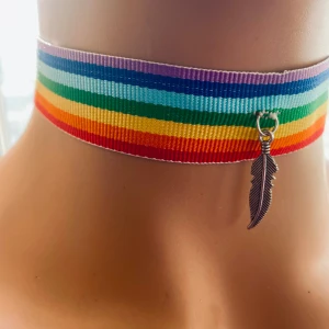 By prisförslag- Regnbågsfärgat chokerhalsband med fjäderberlock - Snyggt chokerhalsband i regnbågens färger med en silverfärgad fjäderberlock. Perfekt för att lägga till en färgglad touch till din outfit.