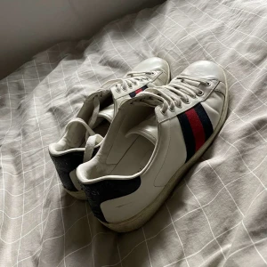 Gucci ace  - Tja säljer nu mina Gucci skor storlek 43 dom är riktigt fet o inte slitna på sulan(äkta) priset är inte hugget i sten box finns ej 