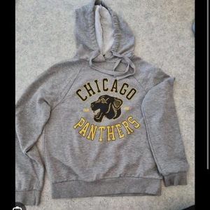 Grå hoodie - Skick: som ny Bra material  Bilden är tagen men skicka pm om jag ska skicka fler! 🙂