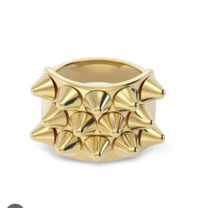 Edblad ring - En ring från Edblad, säljer då jag inte använder den längre.