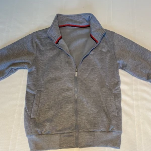 Grå zip-up tröja - Säljer en stilren grå zip-up jacka med ribbade muddar och krage. Jackan har en dragkedja framtill och två fickor. Insidan av kragen har en röd och blå randig detalj som ger en snygg kontrast. EJ ANVÄND