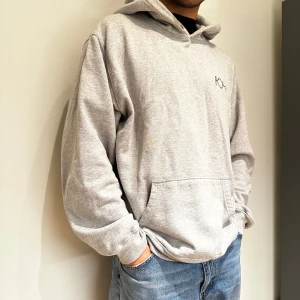 Grå hoodie Polar Skate Co - Säljer en stilren grå hoodie från Polar Skate Co med en stor blå logga på ryggen och en mindre logga på bröstet. Perfekt för en avslappnad stil. Hoodien har en klassisk passform med känguruficka och ribbade muddar. Storlek XL. Modellen är 180cm lång och 75kg.