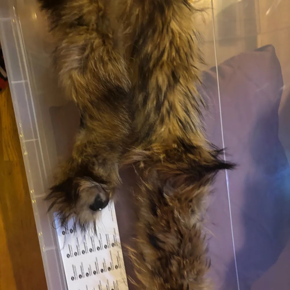 Säljer ett par superfluffiga pälsdetaljer som man fäster på luvan av jackan . Perfekta för att hålla sig varm och snygg under kalla dagar. De har en naturlig brun färg med inslag av svart, vilket ger dem en lyxig look. Passar perfekt för höst och vinter. 🧤✨. Muu.