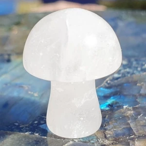 Bergskristall - Slipad svamp  - En liten svamp av Bergskristall, varje sten är unik & det är stenen du ser på bild som annonsen gäller. Mått på dessa är ca 2cm ✨️Titta igenom alla mina upplagda o köp fler saker i bundle för att spara på frakten o få allt du köpt i ett o samma paket.