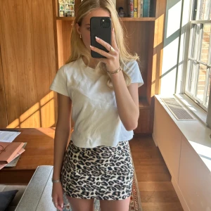 Mini leopard kjol - Jätte snygg mini leopard kjol