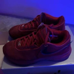 Skor  - Säljer nu dessa nike lebron xx åt min lillebror. Nypris är ca 2000. De är rätt använda men funkar bra som både sneakers eller sportskor. Inte fast pris!💘