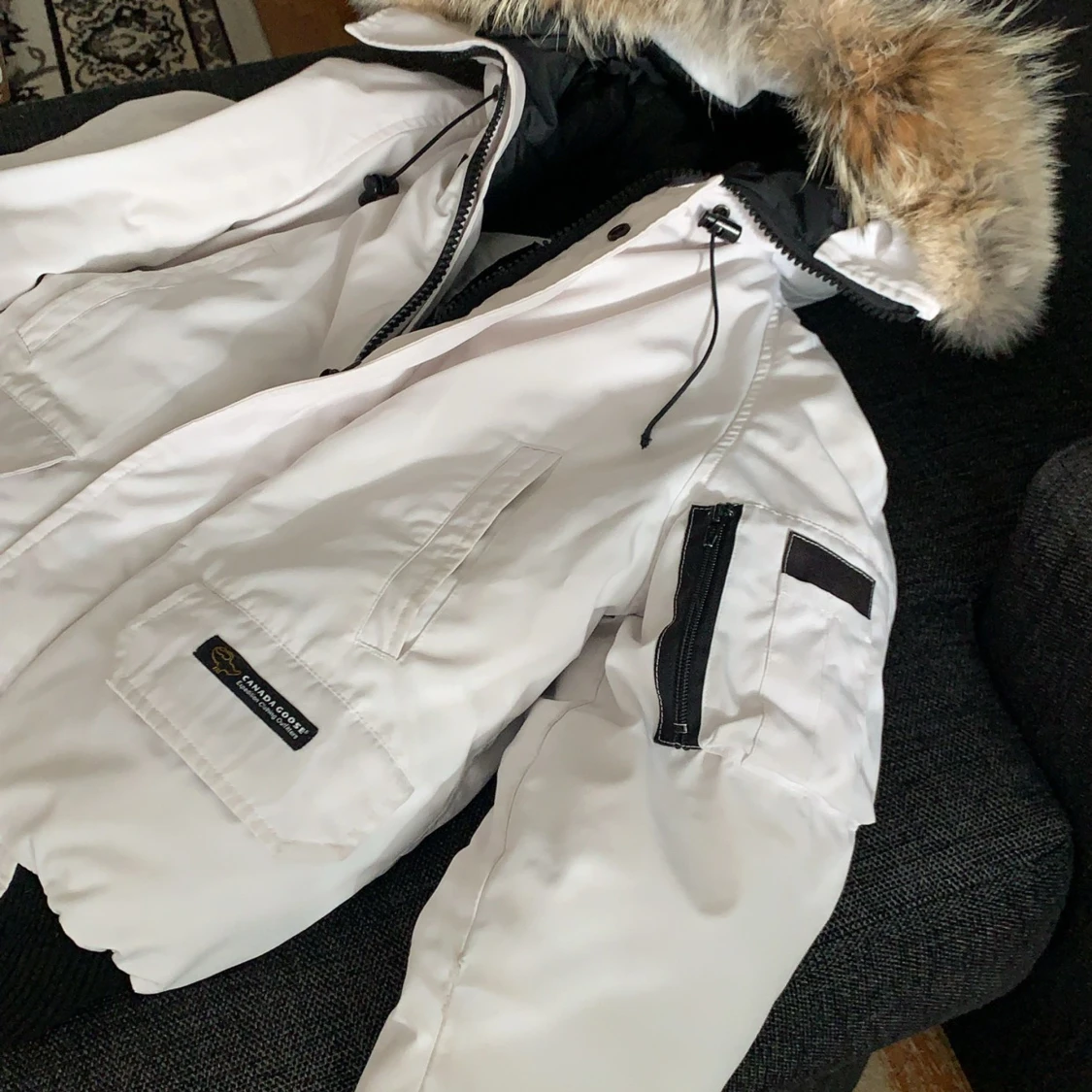 Canada goose chiliwack - 92