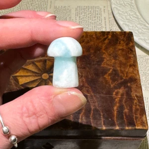 Liten svamp i karibisk kalcit - Vacker svamp i karibisk kalcit. Svårt att fånga glitter/detaljer på bild. Nypris ca 130:- ca 2,5-3cm Alla mina kristaller är köpta av väletablerade svenska säljare (så inget kina skit!)