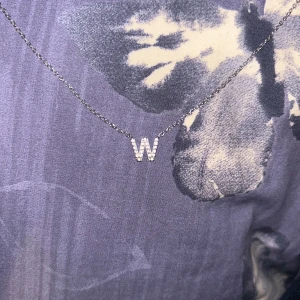w halsband silver - den är fin och haft den några månader tills jag och mitt ex gjorde slut. inte sönder, precis som ny! pris kan diskuteras 