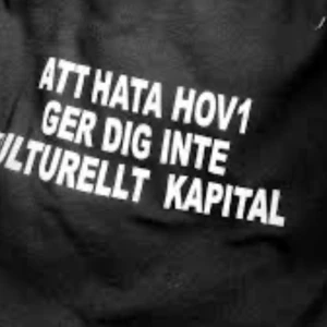 Hov1 t-shirt  - Jag söker denna T-shirten som såldes 2024 då jag inte hann få tag på den❤️   Hör gärna av er om ni vet någon som säljer❤️