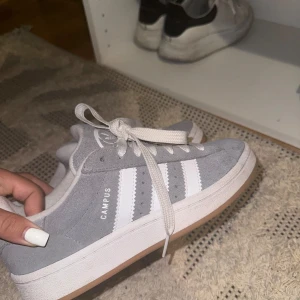 Adidas campus  - Använda två gånger då dem är för små på mig