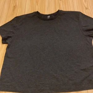Grå svart T-shirt - En fin T-shirt kan vara lite lite lite nopprig från H&M 