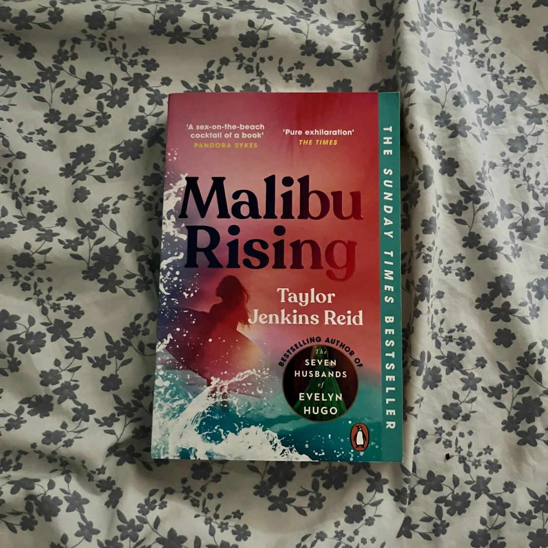 Malibu Rising