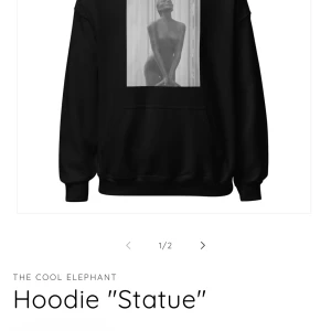 Svart hoodie 'Statue' från The Cool Elephant - Säljer en svart hoodie från The Cool Elephant Hoodien har en klassisk design med dragsko i huvan och en stor magficka. Det är en gammal modell så ser inte riktigt ut som på hemsidan.Den är inte i dåligt skick alls men se ändå lite använd ut💕ny pris över 500kr