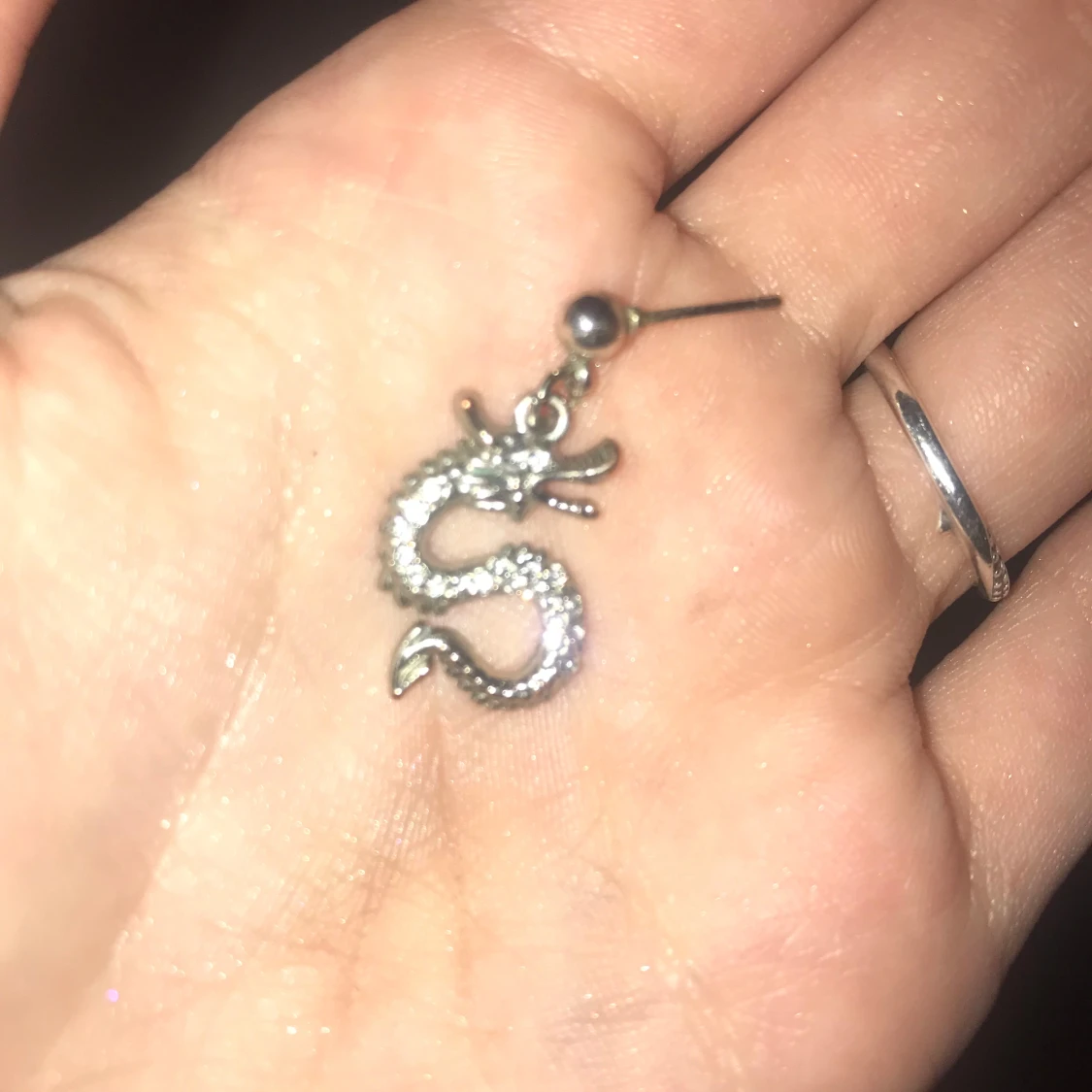 Silvriga drakörhängen - 1