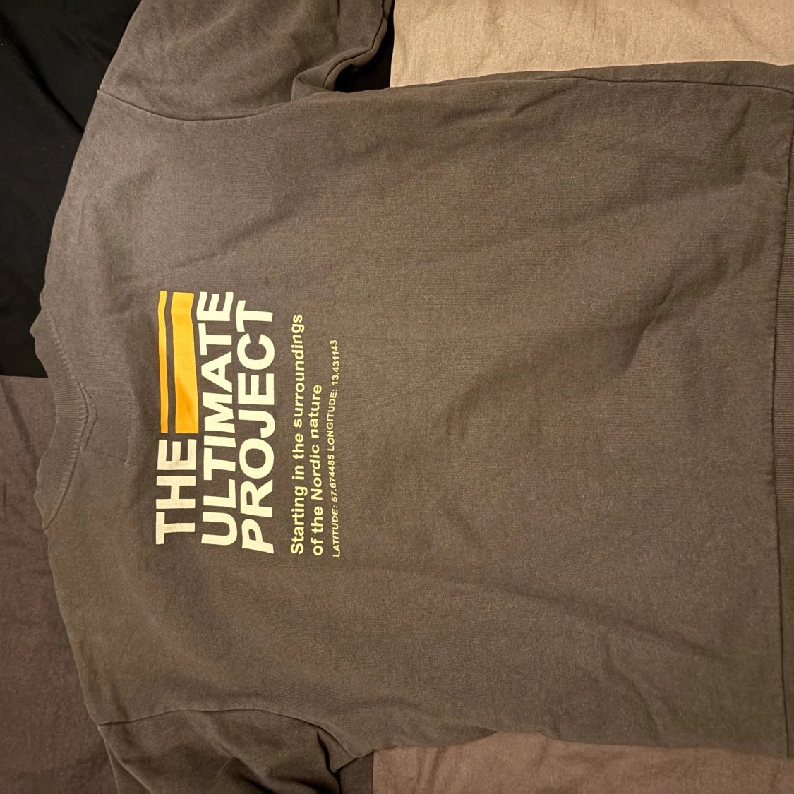 Grå tröja med tryck från The Ultimate Project - 1