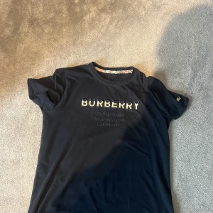 Svart t-shirt från Burberry - Snygg svart t-shirt från Burberry med broderad logga på bröstet och ett litet emblem på ärmen. Perfekt för en stilren look.