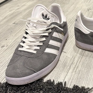 Gazelle grå - Gazelle grå 