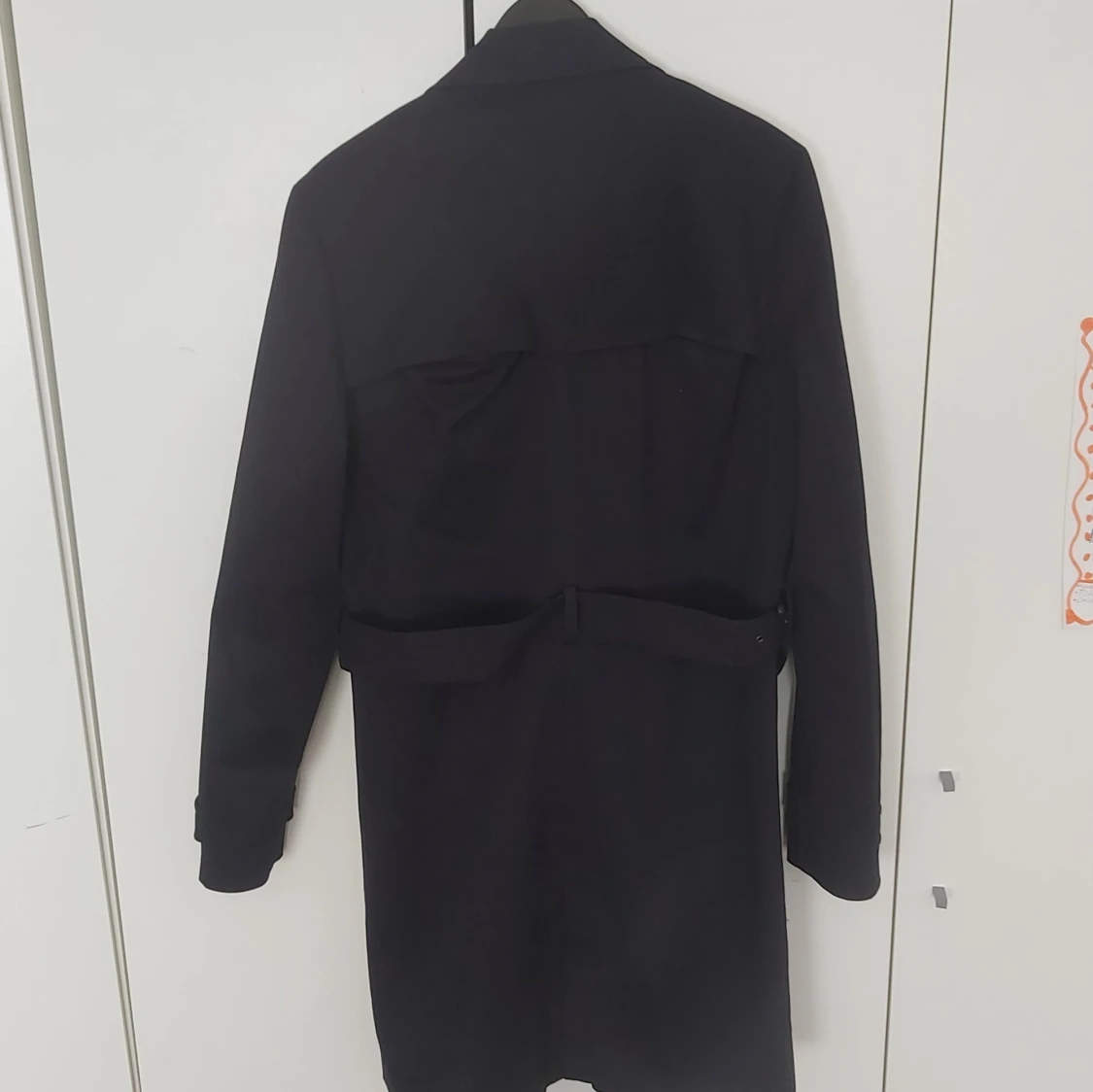 Savvy citizen rock - 91