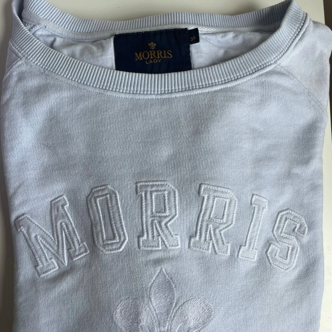 Ljusblå sweatshirt Morris