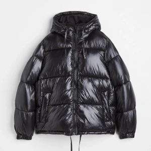 Puffer jacka med luva - Hej! Säljer nu min jacka från hm som är använt halva förra vintern, har ett litet hål på ovansidan av höger jackfickan. Stor i storleken, jag är 153cm lång. köptes för 549 säljs för 350