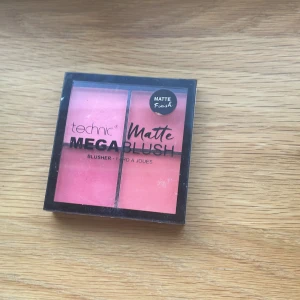 Blush  - Denna är använd bara några gånger 