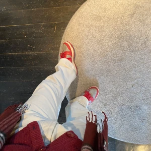  Nike Dunk sneakers - Snygga Nike Dunk sneakers i rött och grått med klassisk snörning. Perfekta för en sportig  och avslappnad look. Skorna har en låg profil och är bekväma för vardagsbruk. 