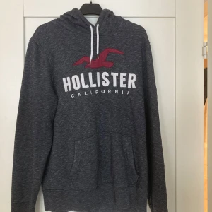 Snygg hoodie från Hollister - Snygg hoodie i bra skick! 