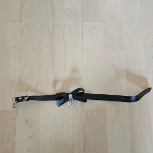 Svart bälte med silverdetaljer - Säljer ett snyggt svart choker med silverdetaljer.Perfekt för att piffa upp vilken outfit som helst! med bjällra på