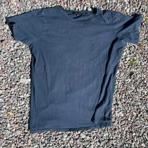 Paul And Friends T-shirt  - Storlek XL skick enligt bild, finns också litet hål på