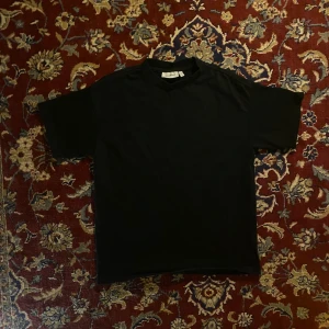 Boxy Tee - Boxig passande tisha från Weekday. Lite dammig i bilderna men det är inget fel på tröjan i sig.