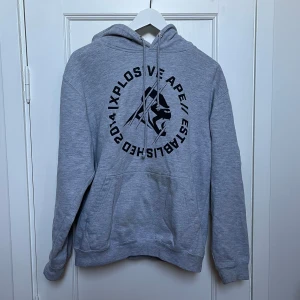 Grå hoodie från Xplosive Apparel - Säljer en grå hoodie från Xplosive Apparel med tryck framtill. Den har en stor ficka på magen och en bekväm huva. Perfekt för chill dagar eller träning. Skön och stilren design som passar till det mesta. Hör av dig vid intresse!