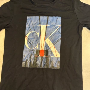 Svart CK t-shirt med grafiskt tryck - Svart t-shirt från Calvin Klein Jeans med stort grafiskt tryck på bröstet där CK-loggan syns över en cool stadsbild i blått, vitt och rött. Klassisk rund hals och korta ärmar. Materialet är mjuk bomull och loggan finns även tryckt på ärmen.