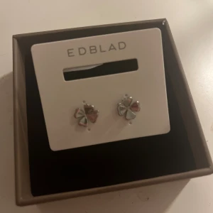 Söta silverörhängen från Edblad - Ett par helt nya örhängen från Edblad. Nypris 299+ box 25kr. Fick i present och kommer ej att använda därav säljer jag de