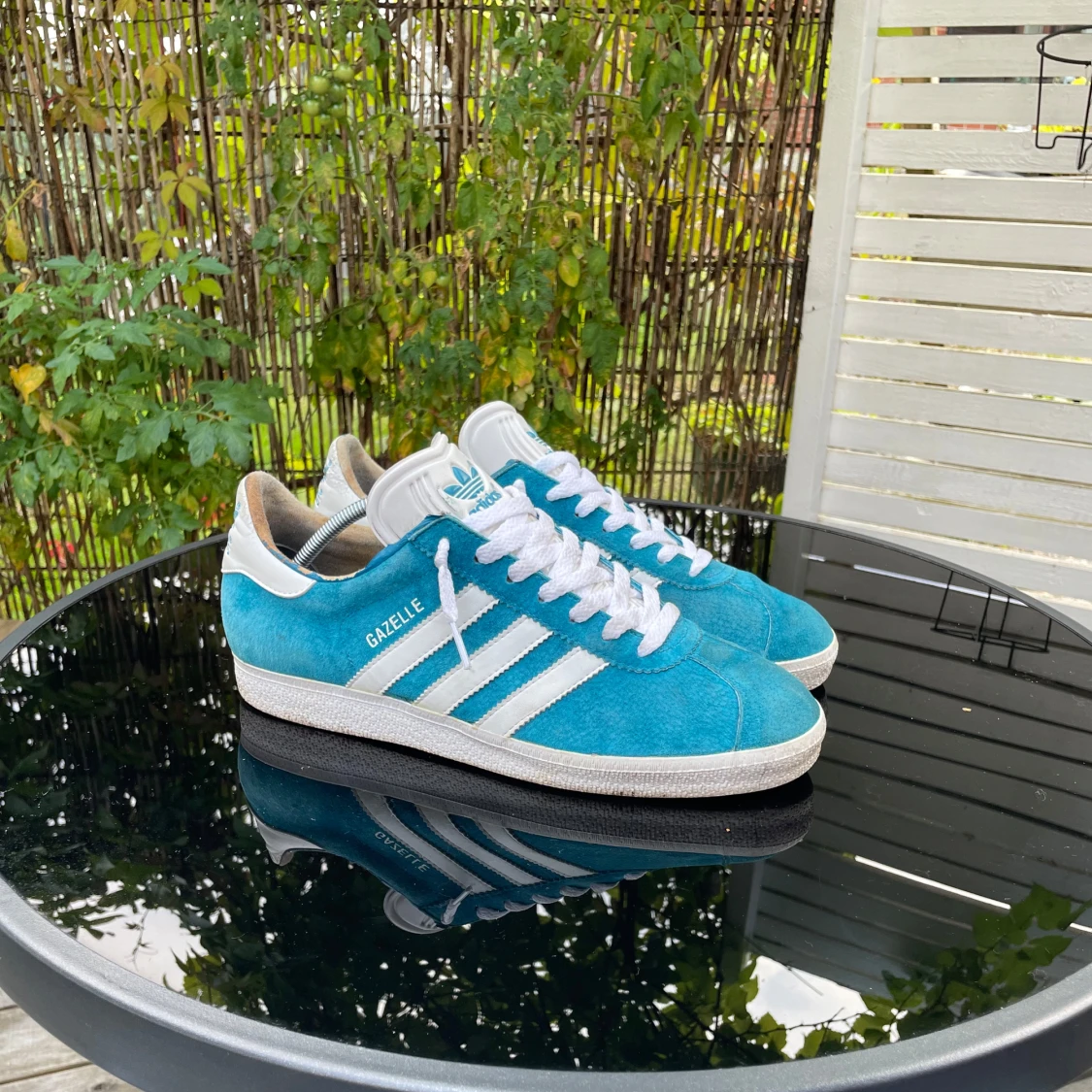 Adidas Gazelle  - 1