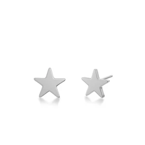Silver stjärn örhängen - Säljer dessa silvriga stjärnörhängerna för Edblad. Andvända fåtal gånger. Nypris 249kr. Skriv vid frågor.