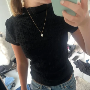 Svart ribbad topp med hög hals - Säljer en svart ribbad topp med hög hals och korta ärmar. Super söt till fest eller finare tillfällen🥰