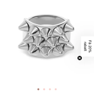 Silverfärgad ring med nitar från Edblad - Snygg och trendig ring från Edblad. Inga defekter, skickas i originalboxen💓Nypris 399!