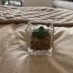 En fejk växt 🪴  - En söt liten fejk växt som har sand i botten. Sanden rör inte på sig! Utan den sitter fast. perfekt för dig som gillar små inredningssaker!🤗💕💖