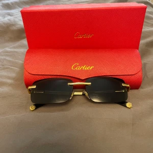 solglasögon - Solglasögon i bra skick. De kommer med alla förpackningar.