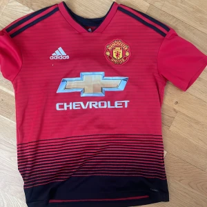 Röd Manchester United fotbollströja från Adidas - Säljer en röd Manchester United fotbollströja från Adidas med korta ärmar. Tröjan har svarta detaljer och ett randigt mönster längst ner. Den har Chevrolet-loggan på framsidan och Pogba nummer 6 på baksidan. Den är helt ren och knappt använd.
