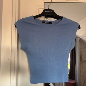 Ljusblå croppad topp från Gina Tricot - Säljer en ljusblå croppad topp från Gina Tricot. Toppen är ärmlös med rund halsringning och har en tight passform. Perfekt att styla till jeans eller kjol för en fräsch look.