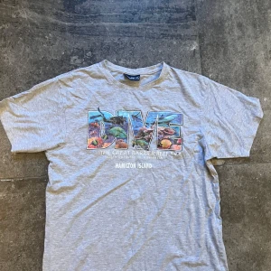 Grå t-shirt DIVE Hamilton Island - Grå t-shirt från Bobby Oz med färgglatt tryck på bröstet där det står DIVE och motiv från Great Barrier Reef. Under står det Hamilton Island. Klassisk passform, rund hals och korta ärmar. Perfekt för dig som gillar coola souvenirtröjor med unik print.