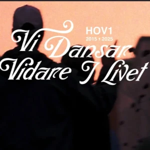 Hov1 - Säljer två stycken ordinarie ståplats till Stockholm stadion! En för 1 500, pris går att diskutera vid snabb affär 