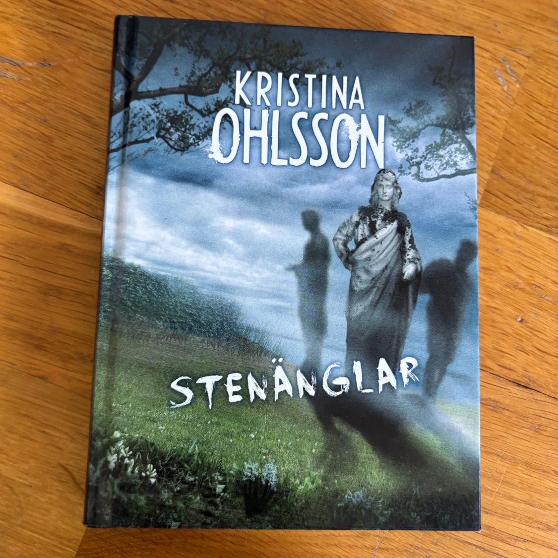 Barnbok/ ksiạžka dla dzieci, Stenänglar