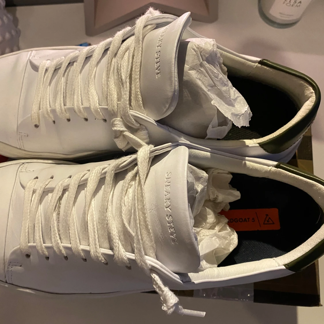 Sneaky Steve Skor - 1